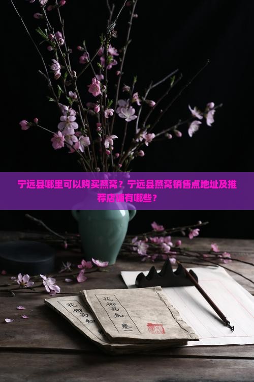 宁远县哪里可以购买燕窝？宁远县燕窝销售点地址及推荐店铺有哪些？