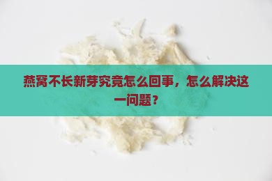 燕窝不长新芽究竟怎么回事，怎么解决这一问题？