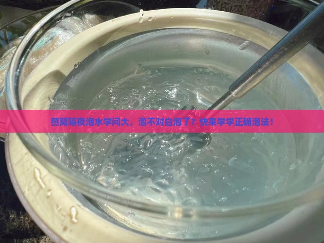燕窝隔夜泡水学问大，泡不对白泡了？快来学学正确泡法！