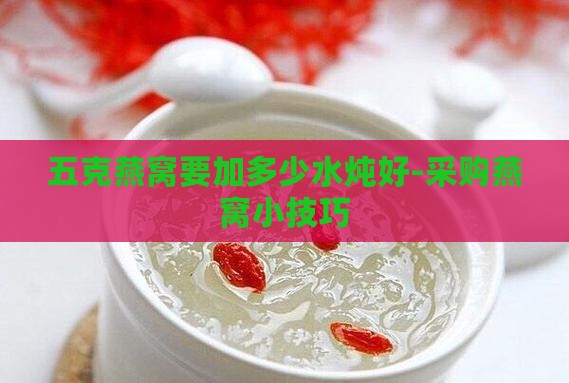 五克燕窝要加多少水炖好-采购燕窝小技巧
