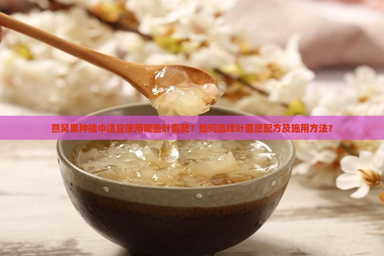 燕窝果种植中适宜使用哪些叶面肥？如何选择叶面肥配方及施用方法？