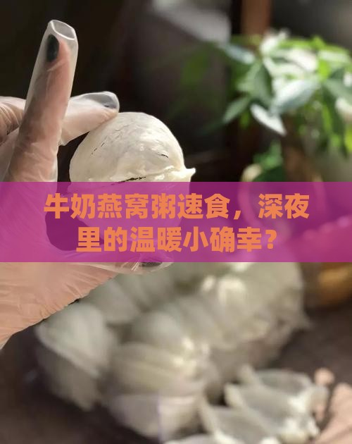 牛奶燕窝粥速食，深夜里的温暖小确幸？