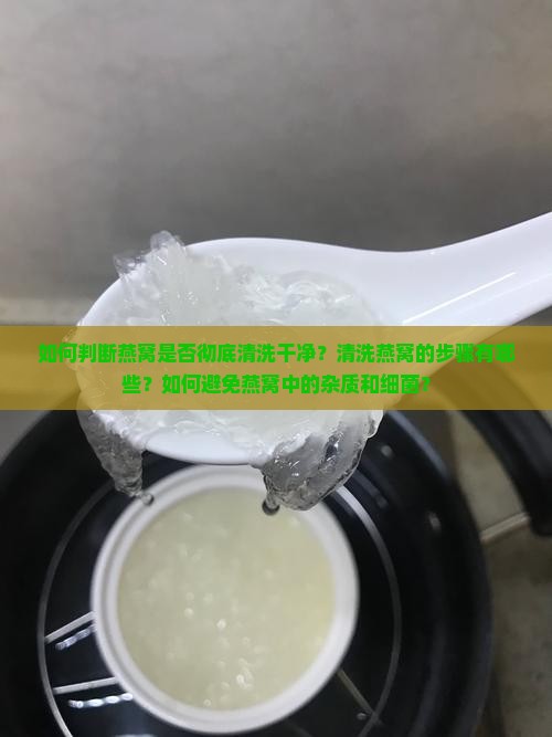 如何判断燕窝是否彻底清洗干净？清洗燕窝的步骤有哪些？如何避免燕窝中的杂质和细菌？