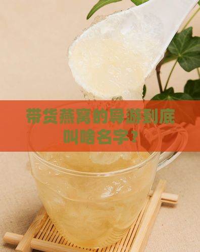 带货燕窝的导游到底叫啥名字？