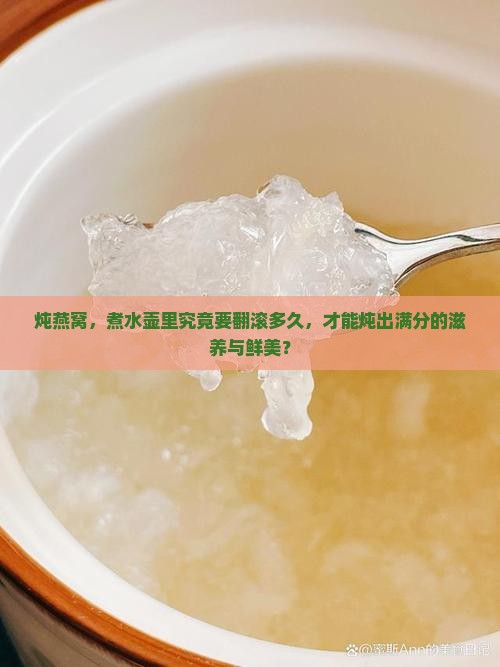 炖燕窝，煮水壶里究竟要翻滚多久，才能炖出满分的滋养与鲜美？
