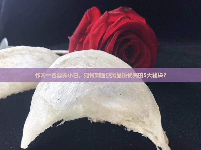 作为一名营养小白，如何判断燕窝品质优劣的5大秘诀？
