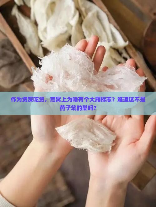 作为资深吃货，燕窝上为啥有个大雁标志？难道这不是燕子筑的巢吗？