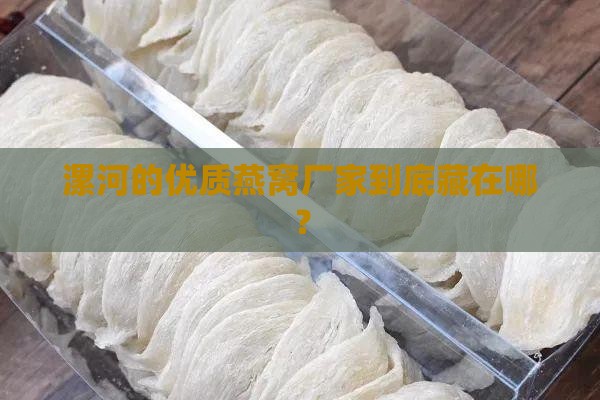 漯河的优质燕窝厂家到底藏在哪？