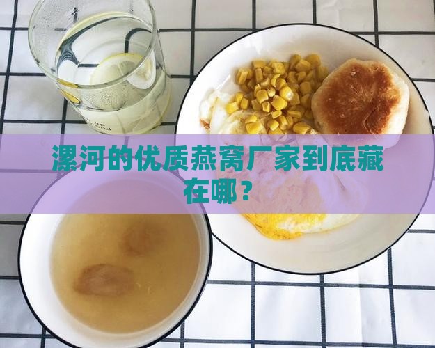 漯河的优质燕窝厂家到底藏在哪？