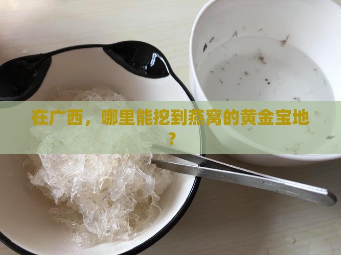 在广西，哪里能挖到燕窝的黄金宝地？