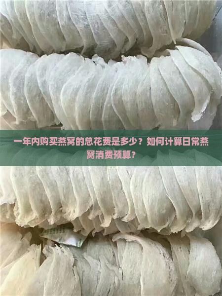 一年内购买燕窝的总花费是多少？如何计算日常燕窝消费预算？