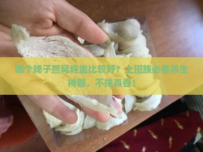 哪个牌子燕窝炖盅比较好？上班族必备养生神器，不挑真香！