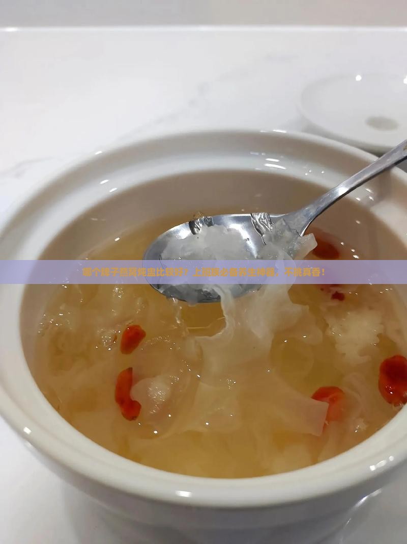 哪个牌子燕窝炖盅比较好？上班族必备养生神器，不挑真香！