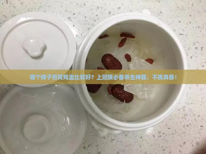 哪个牌子燕窝炖盅比较好？上班族必备养生神器，不挑真香！