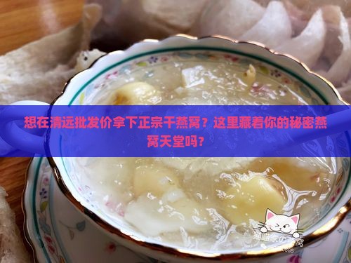 想在清远批发价拿下正宗干燕窝？这里藏着你的秘密燕窝天堂吗？