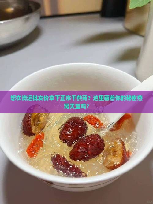 想在清远批发价拿下正宗干燕窝？这里藏着你的秘密燕窝天堂吗？