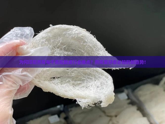 为何印尼燕窝每千克粒数成行业痛点？燕窝爱好者必知的新趋势！