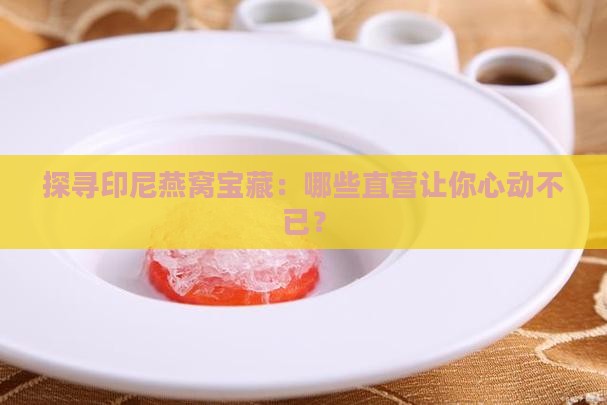 探寻印尼燕窝宝藏：哪些直营让你心动不已？