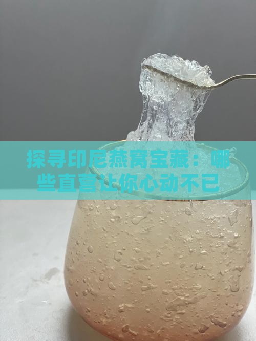 探寻印尼燕窝宝藏：哪些直营让你心动不已？