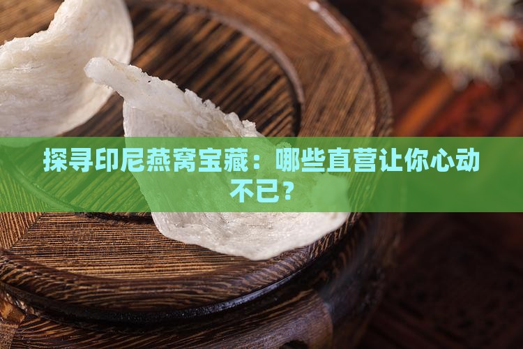 探寻印尼燕窝宝藏：哪些直营让你心动不已？