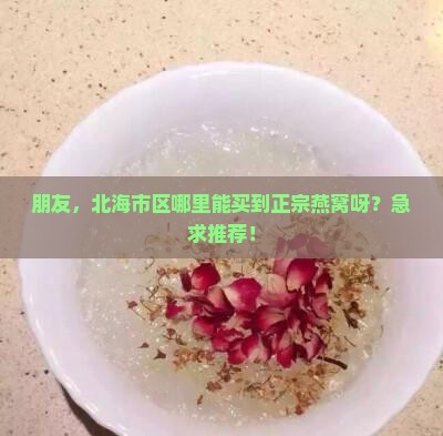 朋友，北海市区哪里能买到正宗燕窝呀？急求推荐！