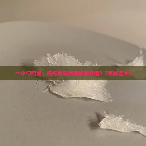 一小勺燕窝，炖煮后竟然能膨胀几倍？7克秘密大！