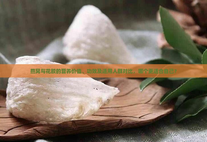 燕窝与花胶的营养价值、功效及适用人群对比，哪个更适合自己？