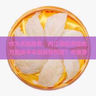 作为本地居民，内江周边哪些地方能亲手采摘新鲜燕窝？求推荐！