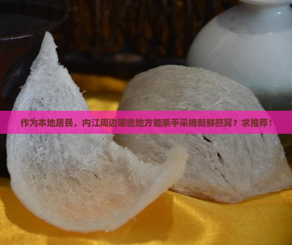 作为本地居民，内江周边哪些地方能亲手采摘新鲜燕窝？求推荐！