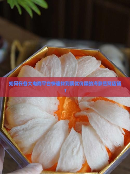 如何在各大电商平台快速找到质优价廉的海参燕窝店铺？