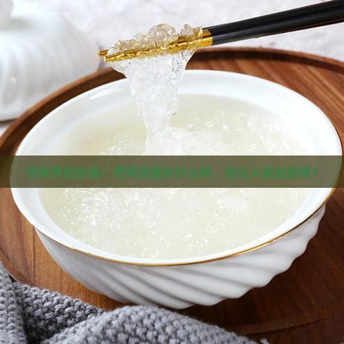 燕窝界的珍品：燕窝疏盏长什么样，竟让人如此追捧？