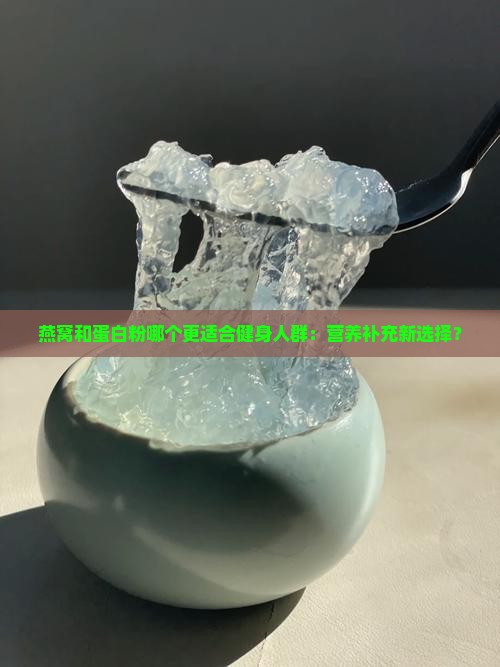 燕窝和蛋白粉哪个更适合健身人群：营养补充新选择？