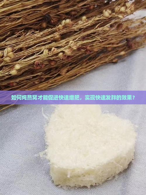 如何炖燕窝才能促进快速增肥，实现快速发胖的效果？