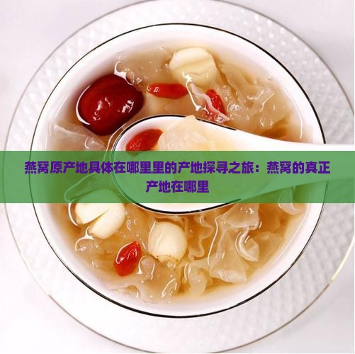 燕窝原产地具体在哪里里的产地探寻之旅：燕窝的真正产地在哪里