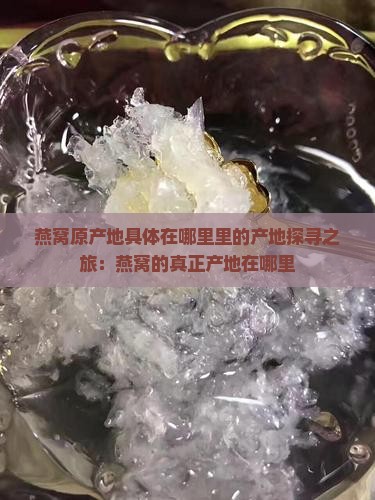 燕窝原产地具体在哪里里的产地探寻之旅：燕窝的真正产地在哪里