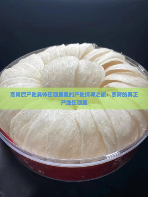 燕窝原产地具体在哪里里的产地探寻之旅：燕窝的真正产地在哪里