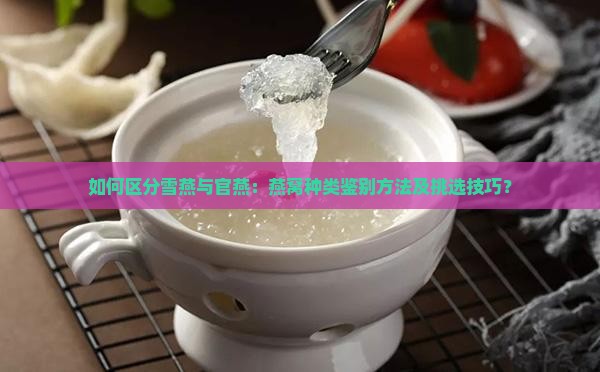 如何区分雪燕与官燕：燕窝种类鉴别方法及挑选技巧？