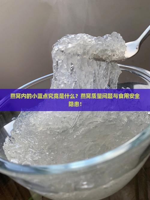 燕窝内的小蓝点究竟是什么？燕窝质量问题与食用安全隐患！