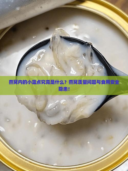燕窝内的小蓝点究竟是什么？燕窝质量问题与食用安全隐患！