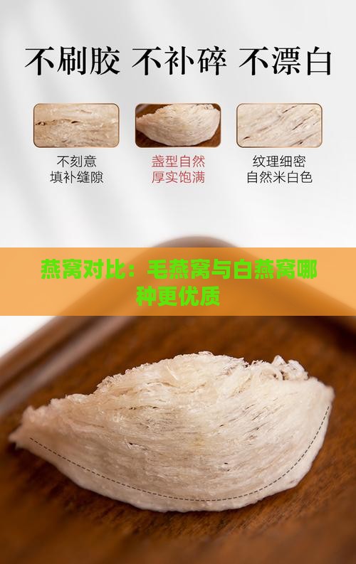 燕窝对比：毛燕窝与白燕窝哪种更优质