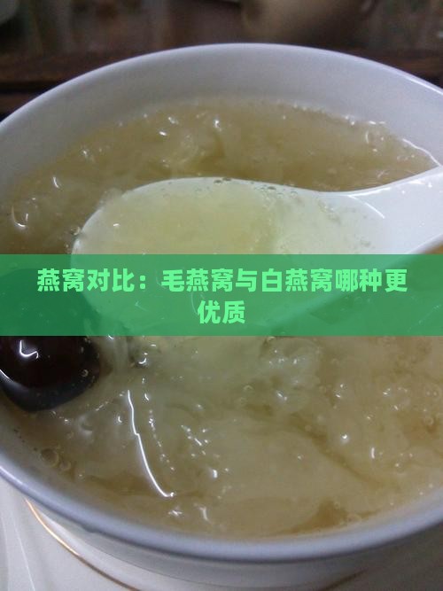 燕窝对比：毛燕窝与白燕窝哪种更优质