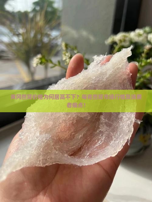 黄冈燕窝价格为何居高不下？每克燕窝市场行情及消费者痛点！