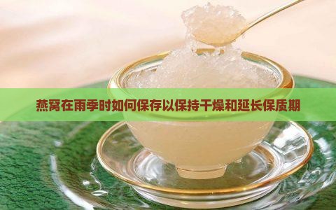 燕窝在雨季时如何保存以保持干燥和延长保质期