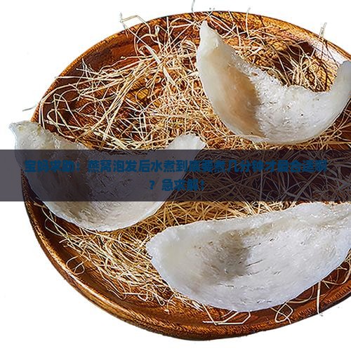 宝妈求助：燕窝泡发后水煮到底要煮几分钟才最合适啊？急求解！