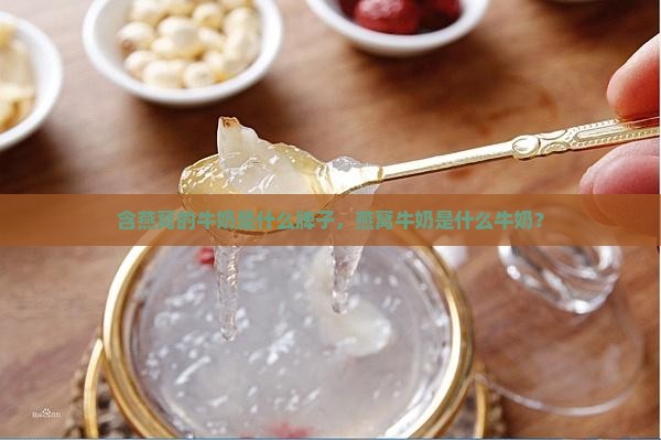 含燕窝的牛奶是什么牌子，燕窝牛奶是什么牛奶？