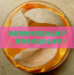含燕窝的牛奶是什么牌子，燕窝牛奶是什么牛奶？
