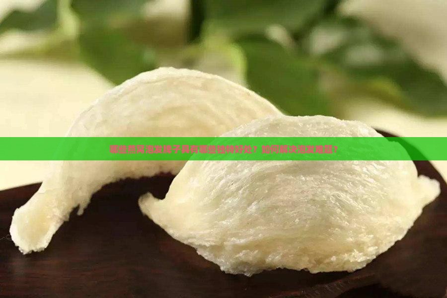 哪些燕窝泡发牌子具有哪些独特好处？如何解决泡发难题？
