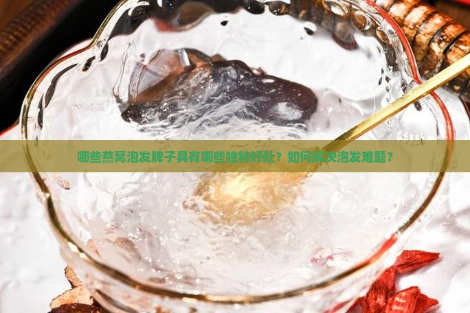 哪些燕窝泡发牌子具有哪些独特好处？如何解决泡发难题？