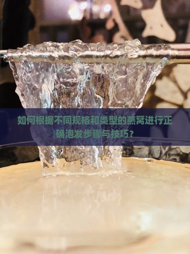 如何根据不同规格和类型的燕窝进行正确泡发步骤与技巧？