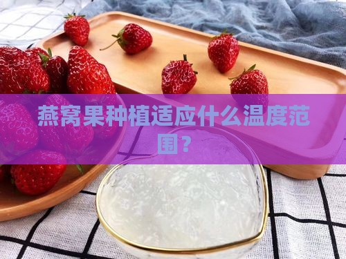 燕窝果种植适应什么温度范围？